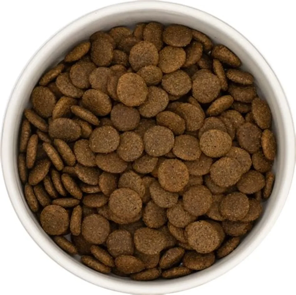 RAÇAO CACHORRO ADULTO 750G