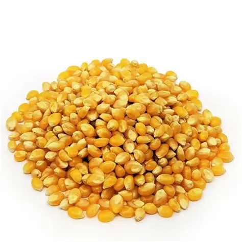 MILHO A GRANEL 850G