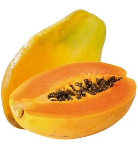 MAMÃO PAPAIA GRANDE