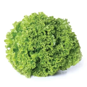 ALFACE CRESPA 2 POR R$5,00